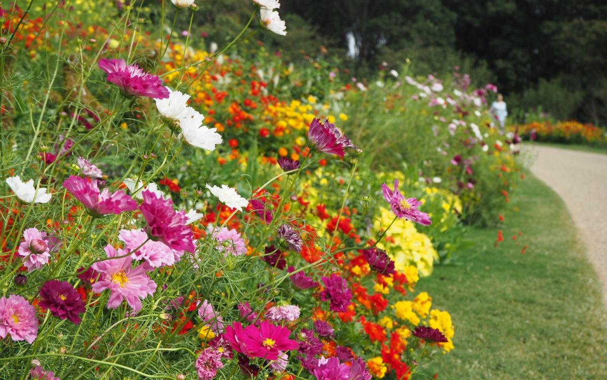 園内のイメージ