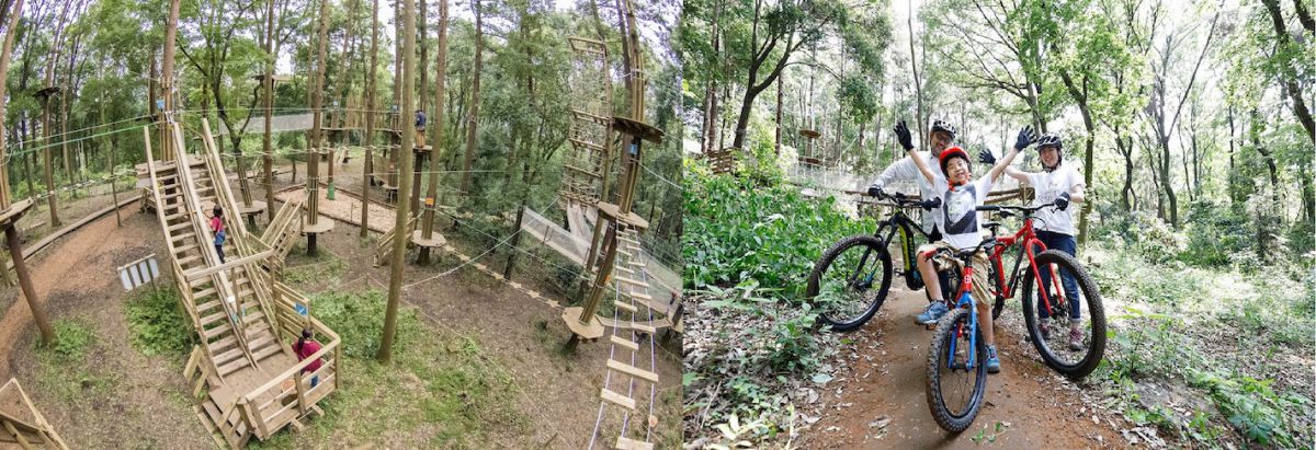 左）フォレストアドベンチャー・よこはま、右）トレイルアドベンチャー・よこはま