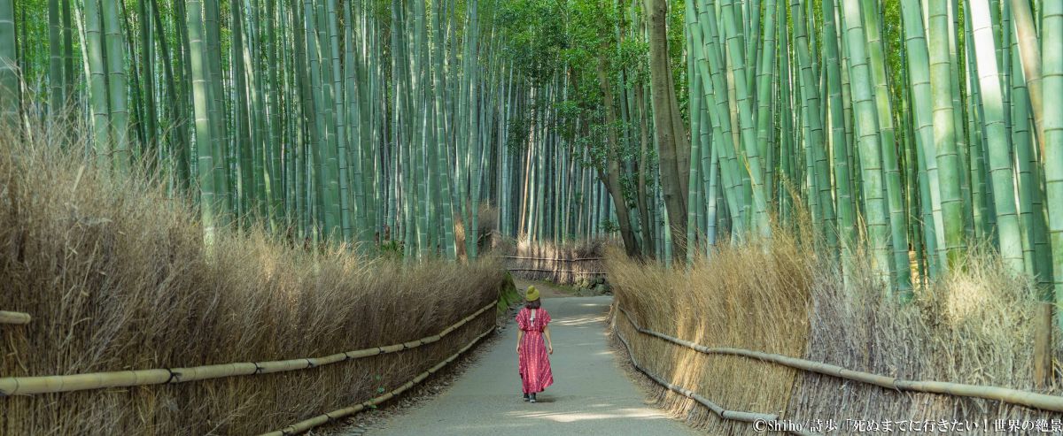 京都観光は「早朝」が◎絶景プロデューサー・詩歩さんオススメの京都案内