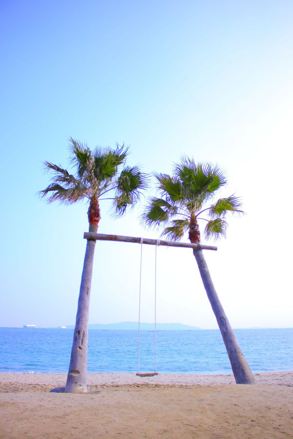 画像提供：糸島市観光協会