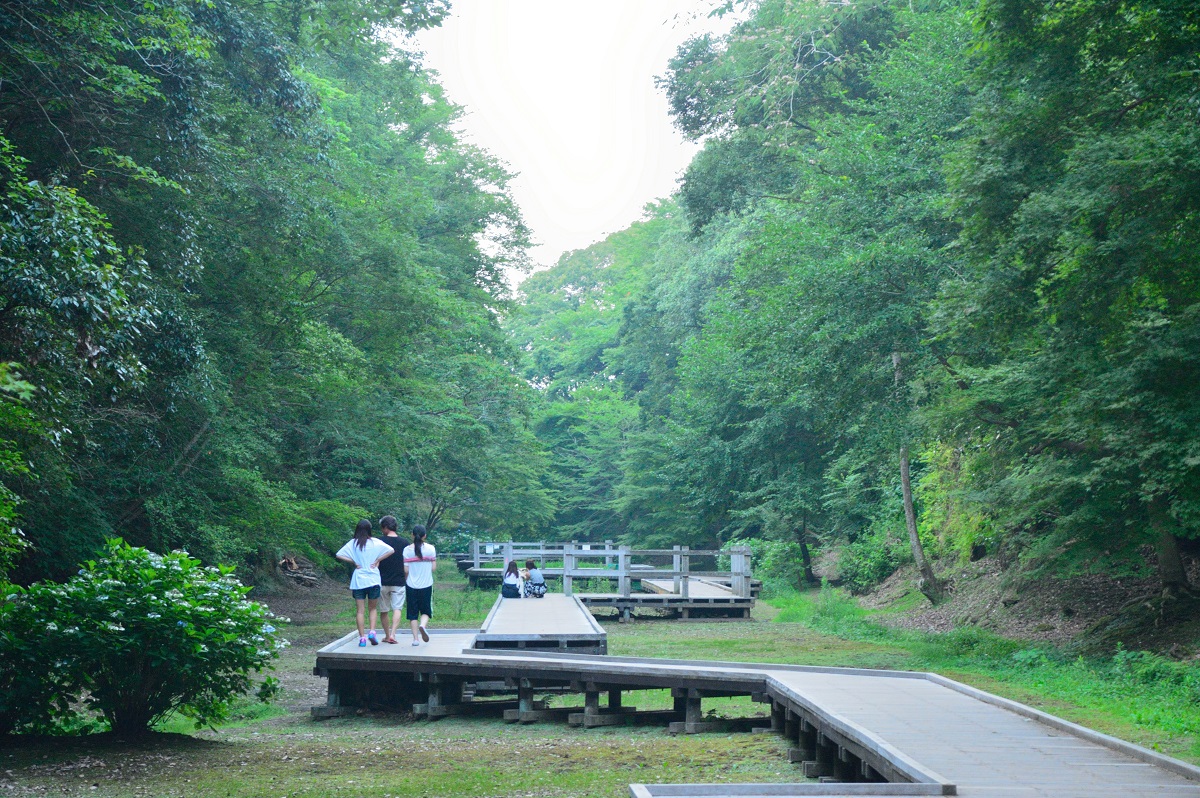 提供：千葉県君津市