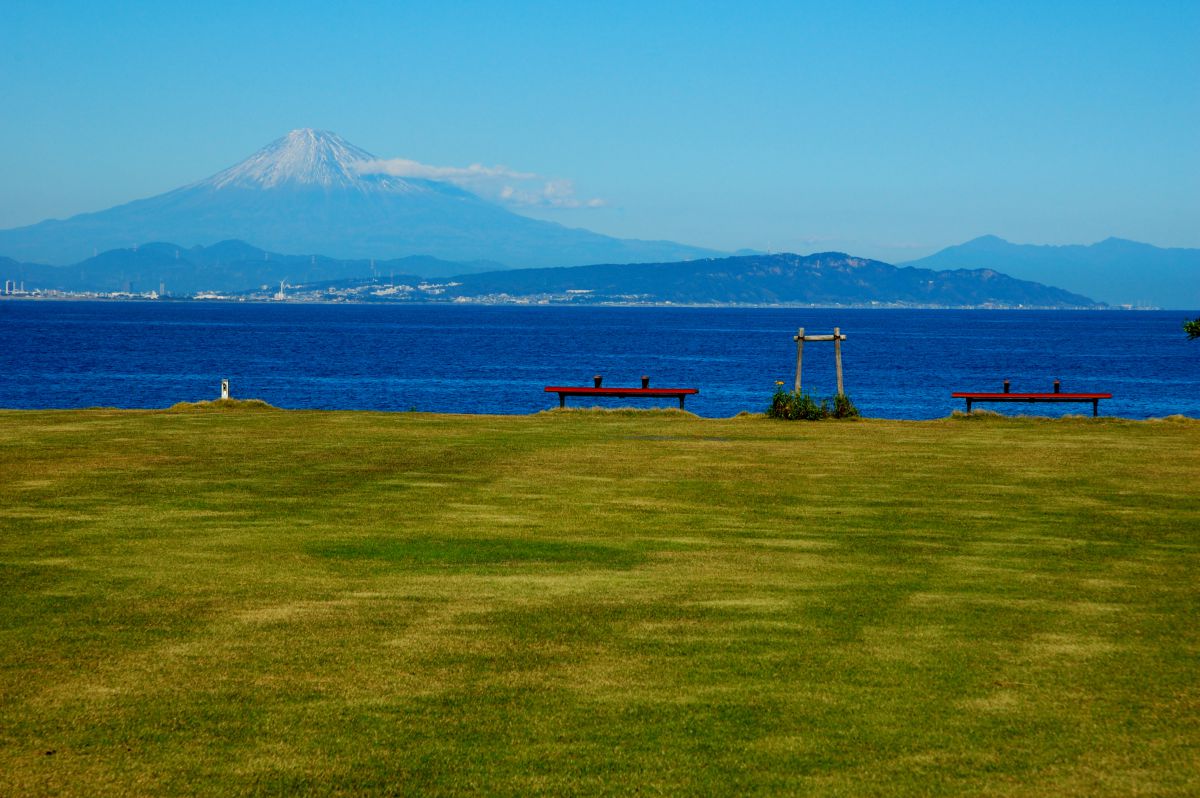 画像提供：PIXTA