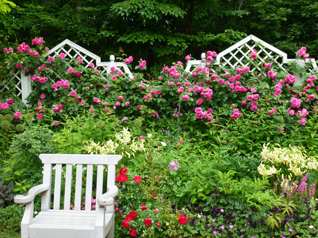 撮影：ケイ山田