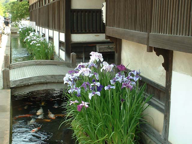 （一社）津和野町観光協会