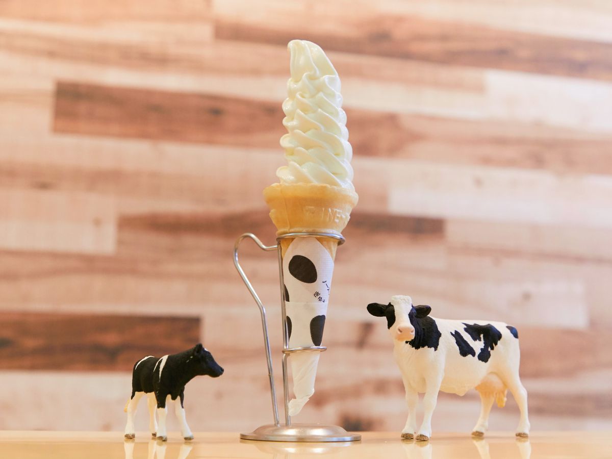 牛乳ソフトクリーム 380円 ※コーンまたはカップ