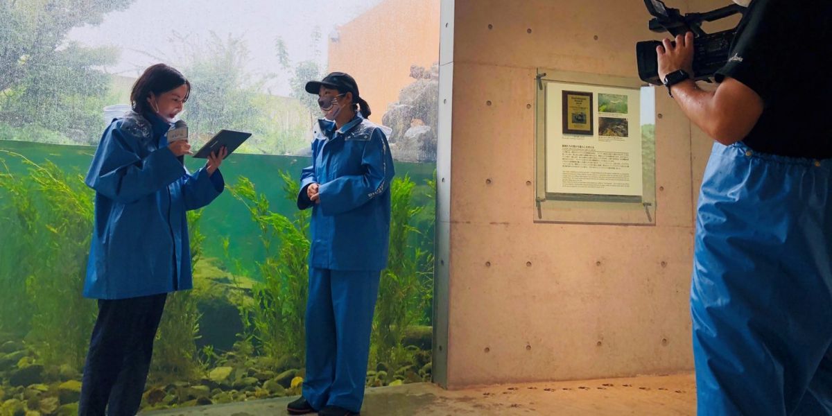 編集部レポーター中村がお届け！「おうちで水族館探検～アクアマリンふくしまからかわいい生きものたちを生配信」報告レポート！
