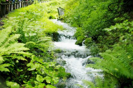 【全国】涼しくて楽しい！夏のおすすめお出かけスポット8選！【後編】