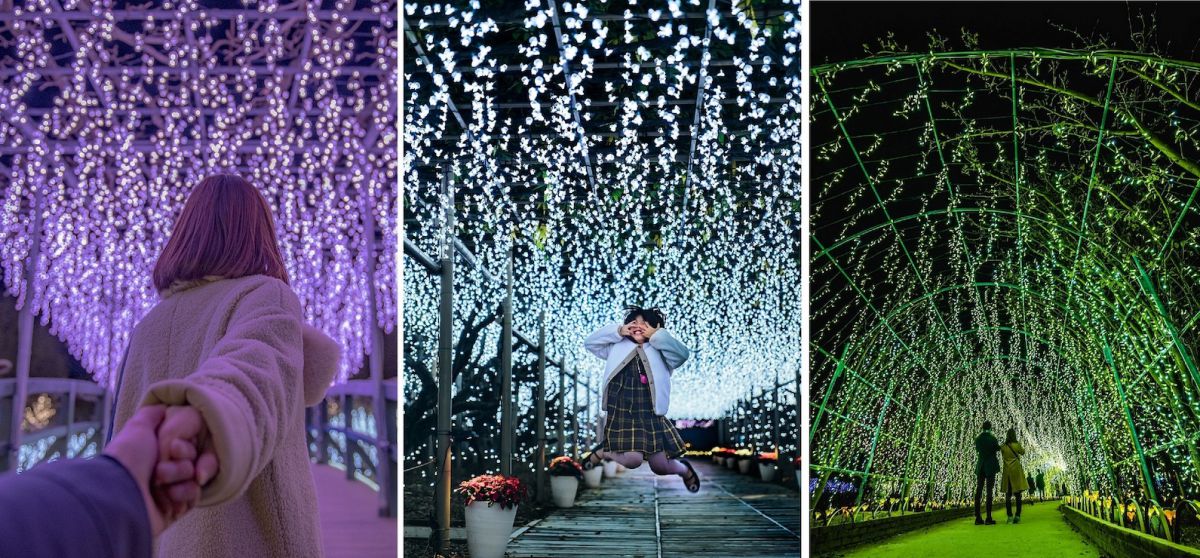 うす紅橋（左）、白藤のトンネル（中）、きばな藤のトンネル（右）