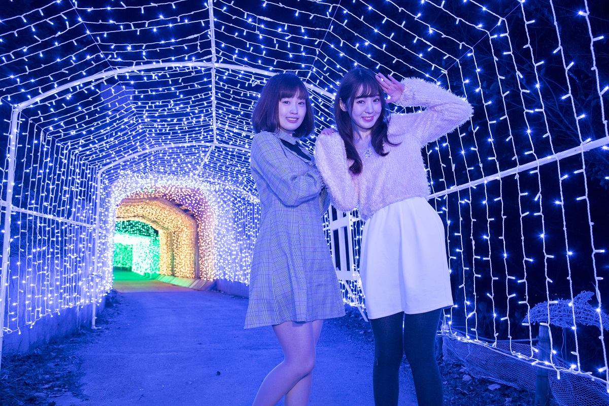 関東最大級イルミネーションイベント「さがみ湖イルミリオン」2020年11月14日から開催