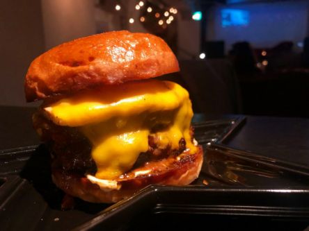 じゅわ～とあふれ出る旨味に悶絶！都内の絶品ハンバーガー14選 【後編】