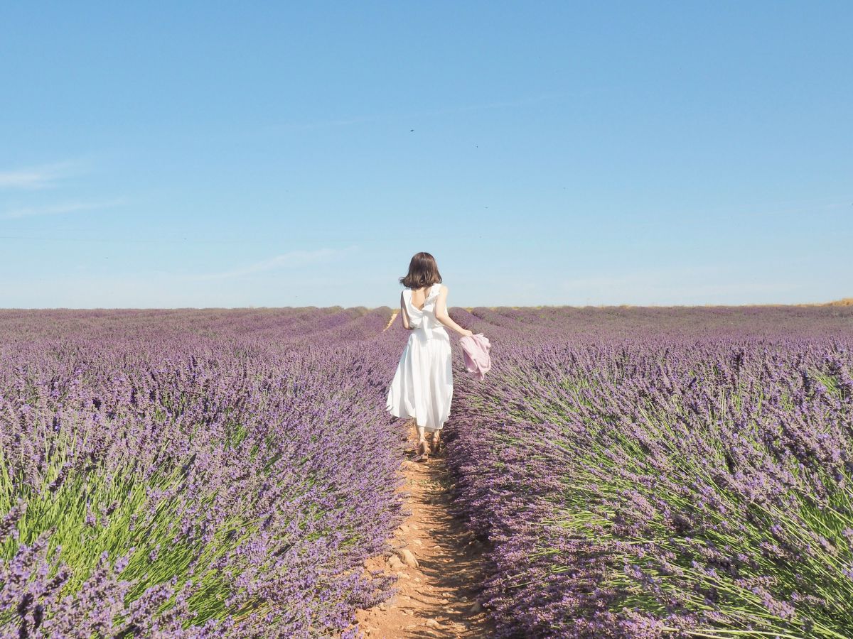 南フランスのラベンダー畑でのホワイトコーデ。背中の開いたトップスと軽やかに揺れるスカートに、旅の途中で見つけたラベンダーカラーのストールを合わせました。