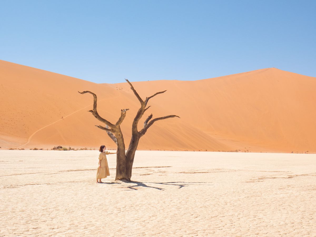 2019年で最も有給休暇を使ったのが南アフリカとナミビアへの旅。念願のナミブ砂漠での一枚。