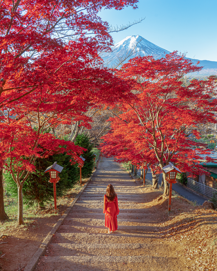 動画内の写真は配色を常に計算。これからの時期だとシンプルに紅葉と同じ色で合わせると簡単に映えます！