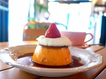 東京のおすすめプリン11選！手土産にも人気な都内最強のプリンはどれ？【後編】