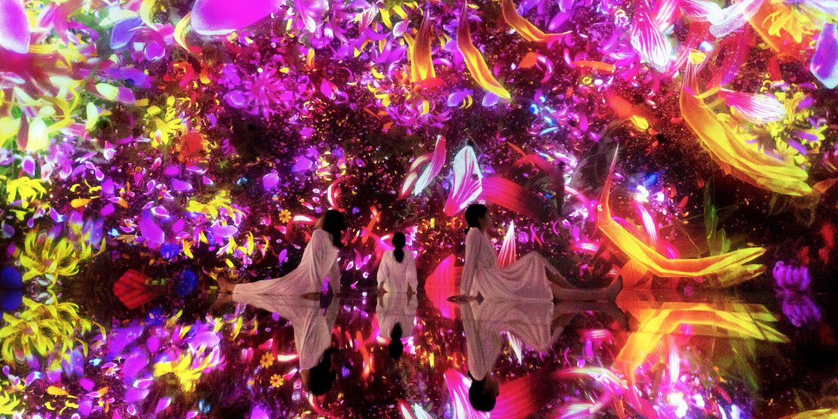 幻想的な世界へ！「チームラボプラネッツ」に1000万本を超える花々が咲き渡る、新たな仕掛けが登場