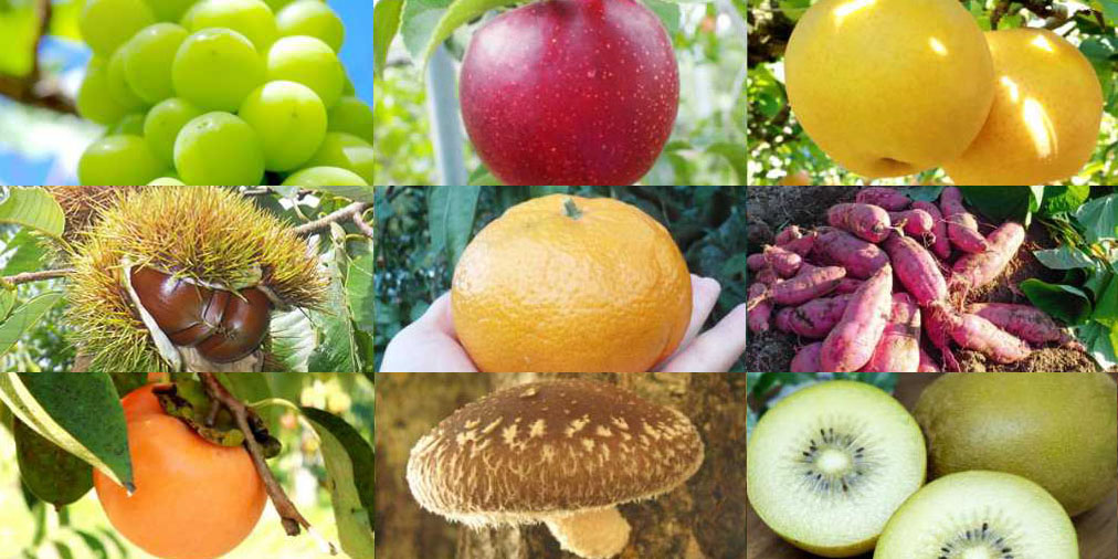 10月1日~10月31日のるるぶ&more.人気記事ランキングTOP10