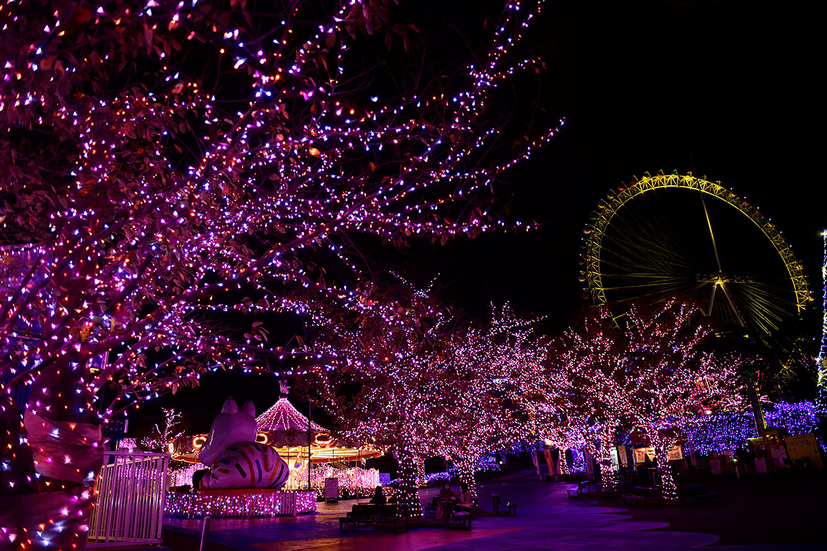 ガーネット・エリアで見られる新色LED「パッション・ジュエリーカラー」