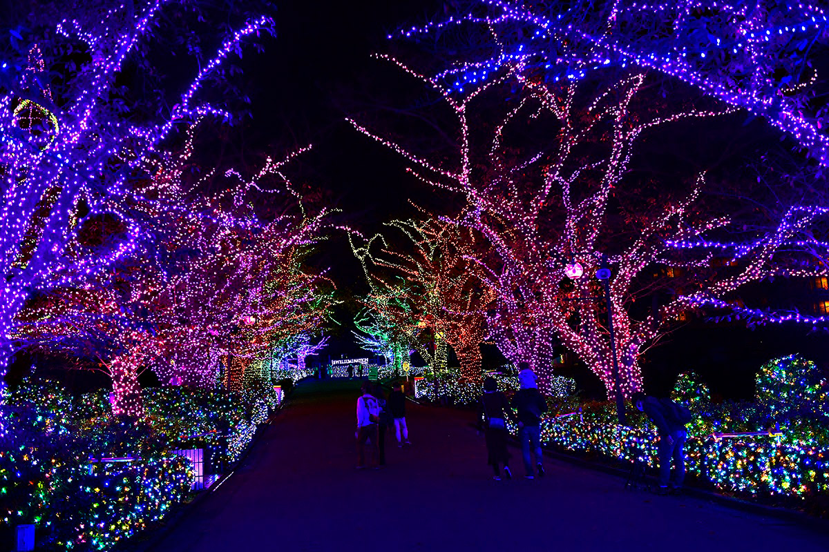 アクアマリン・エリア「彩雲のプロムナード」