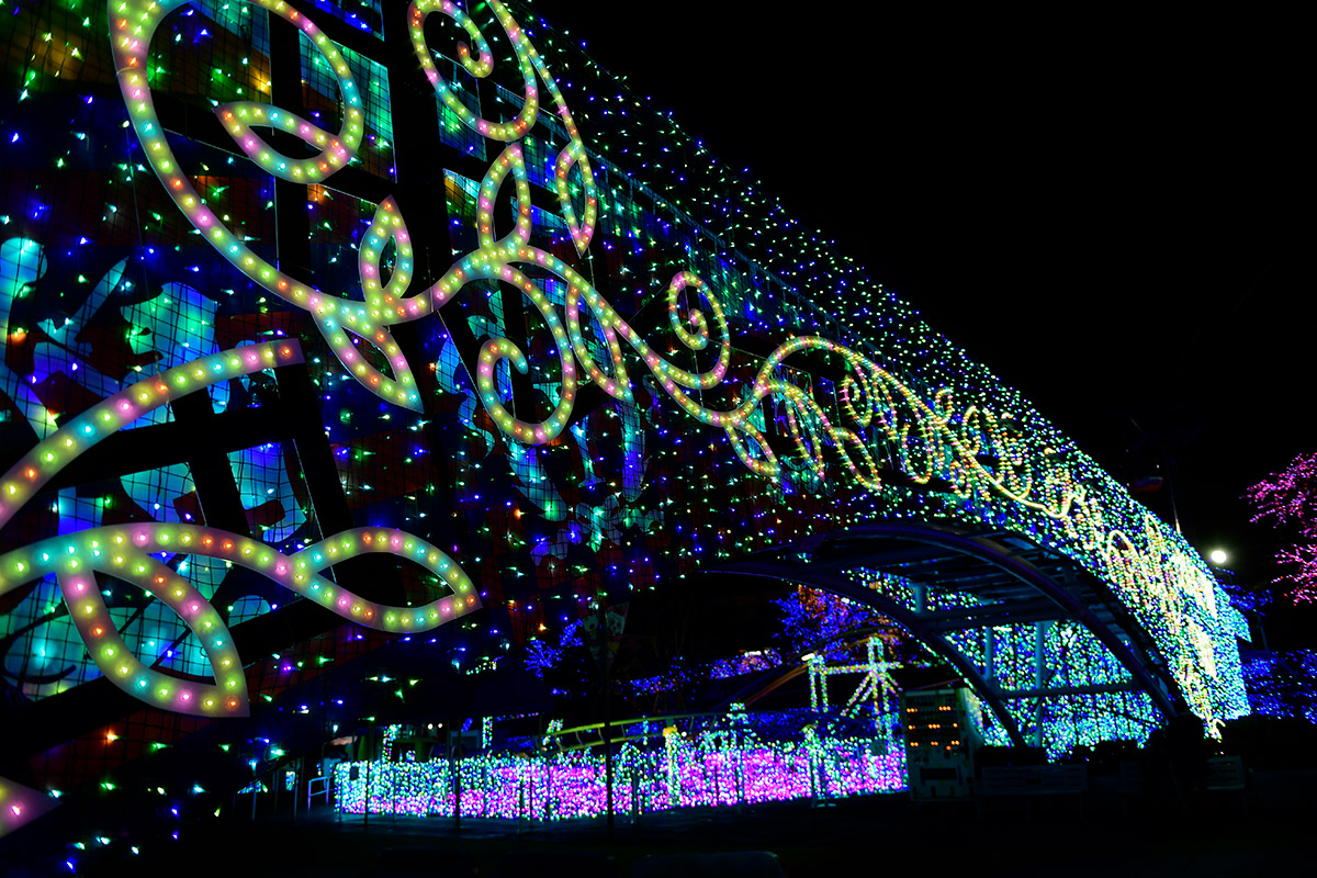 エメラルド・エリア「ゴールデン・ガーランド」