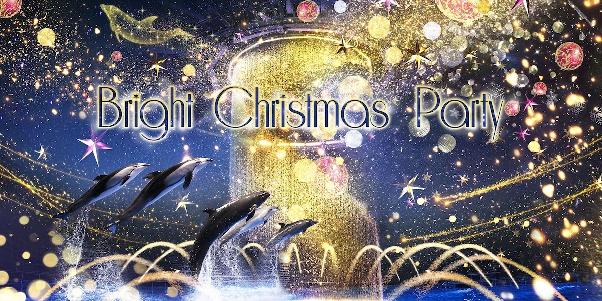 水族館のクリスマス限定プログラム！イルカたちが星空の海で繰り広げる華やかなパーティー