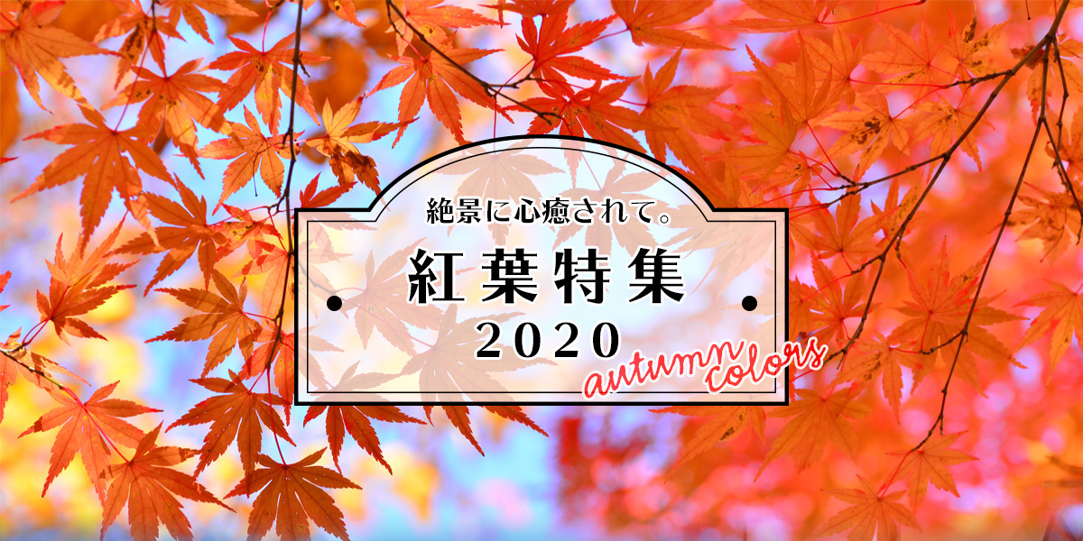 絶景に心癒されて。紅葉特集2020