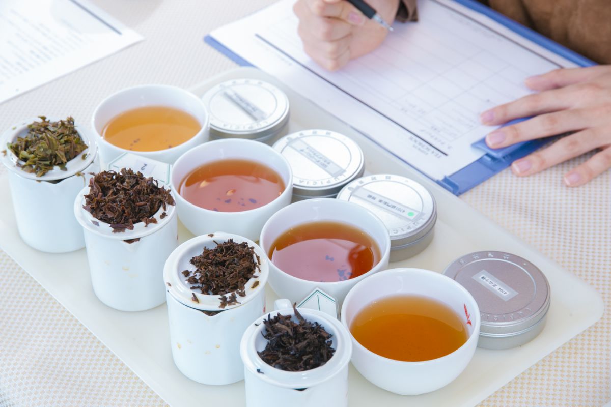 色の差は一目瞭然!写真奥が「ダージリン」のファースフラッシュ、その隣がセカンドフラッシュ