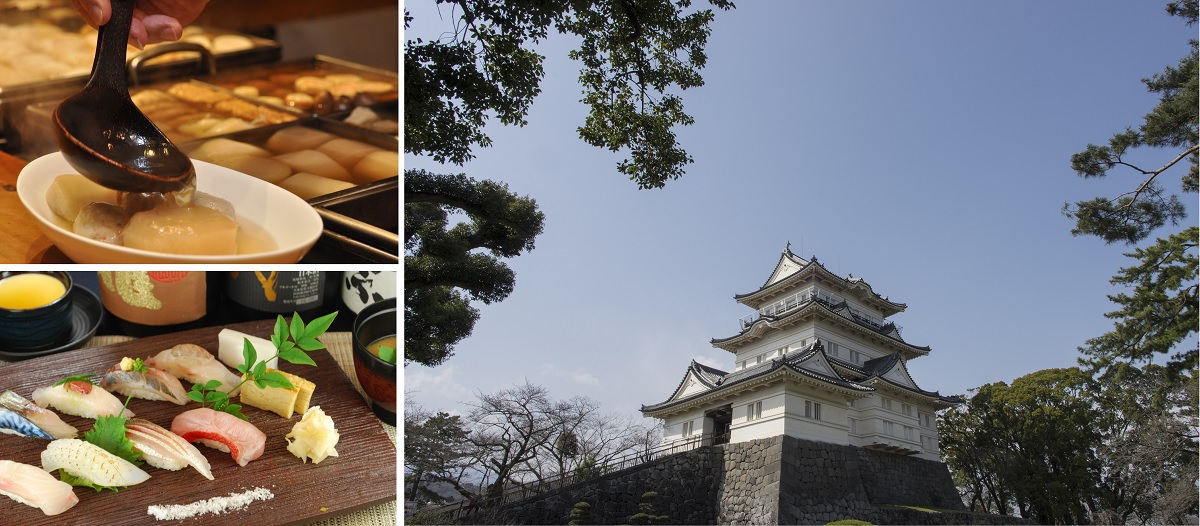 小田急ロマンスカーで行く！小田原のおすすめグルメ6選