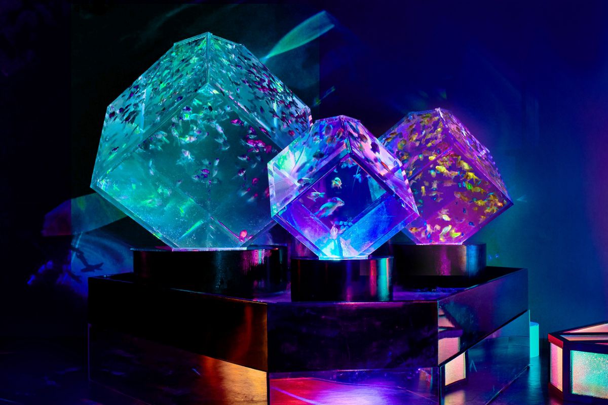   作品「セキテイリウム」