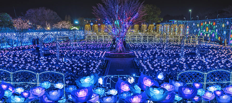 「光のバラ園」