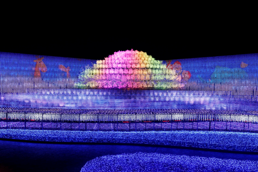 「奇跡の大樹」天空