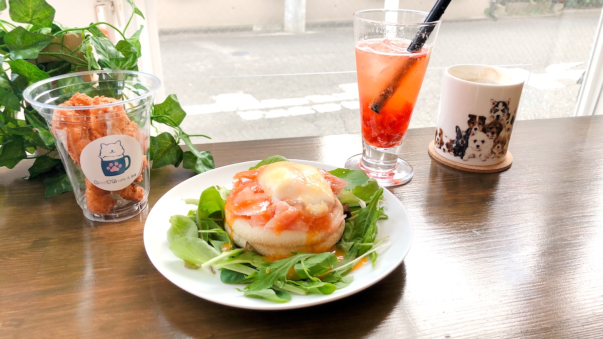 大好きなワンちゃんと一緒に行ける！井の頭公園の癒しカフェ「わんすたCafe＆酒場」