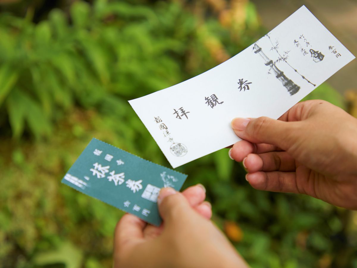「竹の庭」拝観券300円＋抹茶券（干菓子付き）600円で合計900円