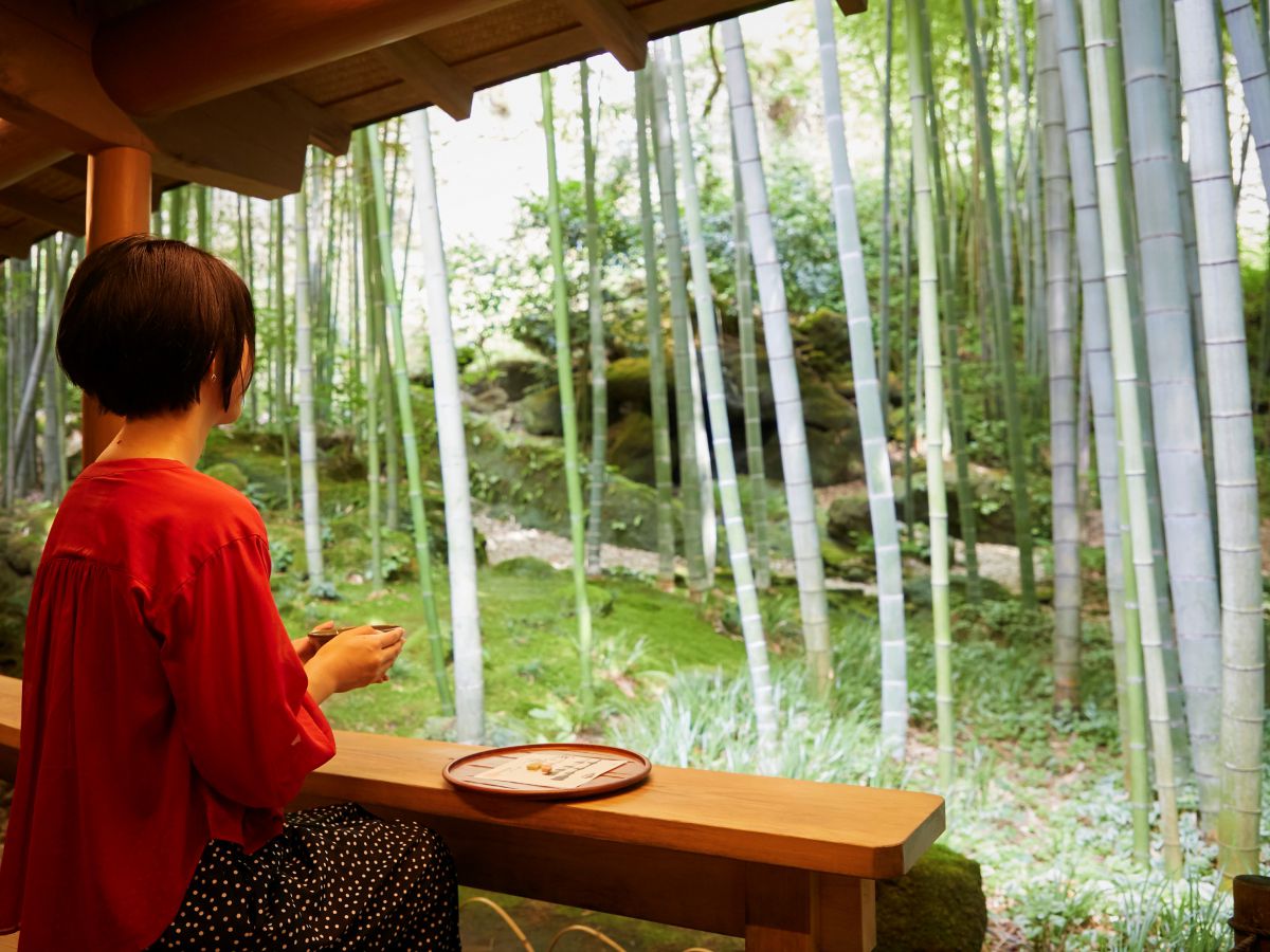 茶席の1列目はテーブル席になっています