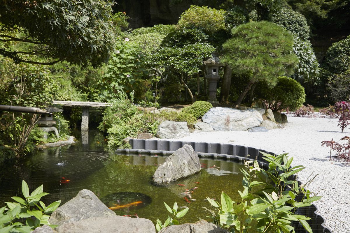 鯉が泳ぐ池の隣には中庭と枯山水庭園が