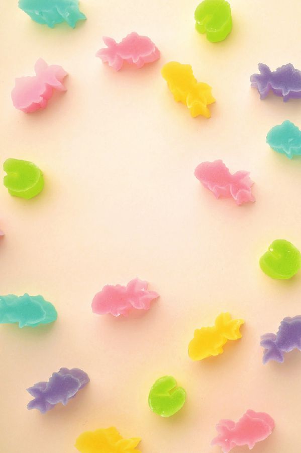 金魚すくい1箱500円