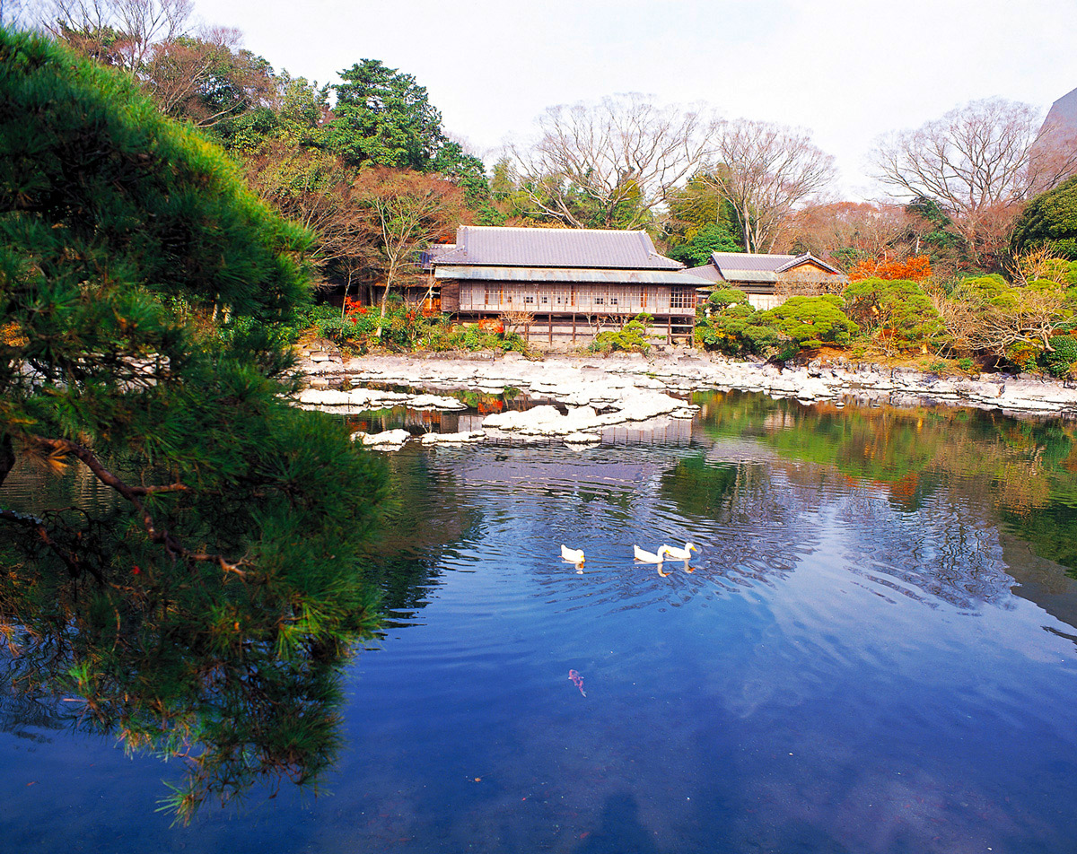 るるぶ＆more.編集部が厳選！伊豆半島で行ってよかった観光地ランキング TOP 10【後編】