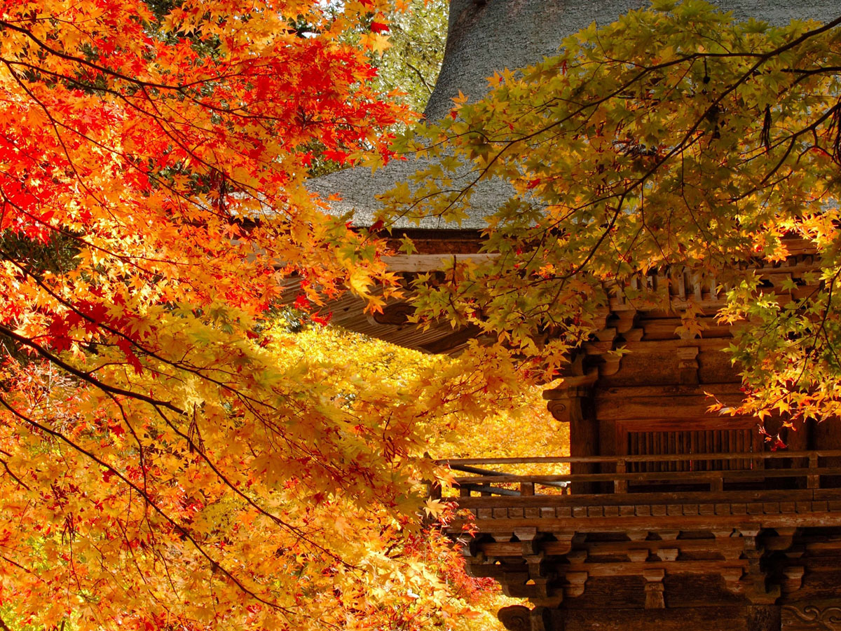 11月1日～11月30日のるるぶ&more.人気記事ランキングTOP10