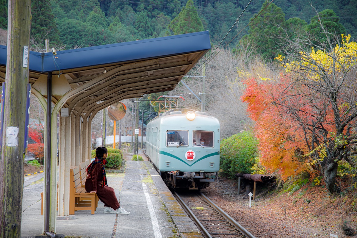 川根本町 田野口駅