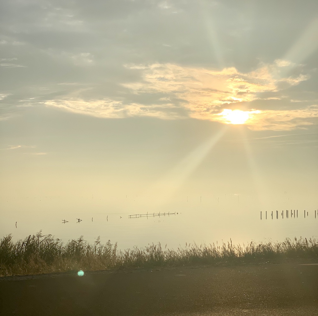 新しい1日の始まりをサイクリングで体感！