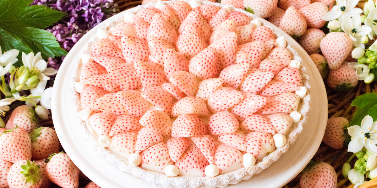 見た目も味わいも多彩ないちごが勢揃い！東京スカイツリータウン(R)のいちごフェア