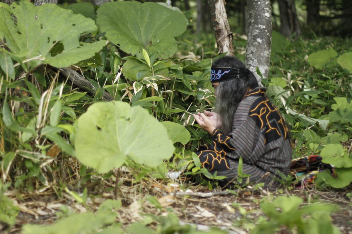 アイヌ民族 文化体験