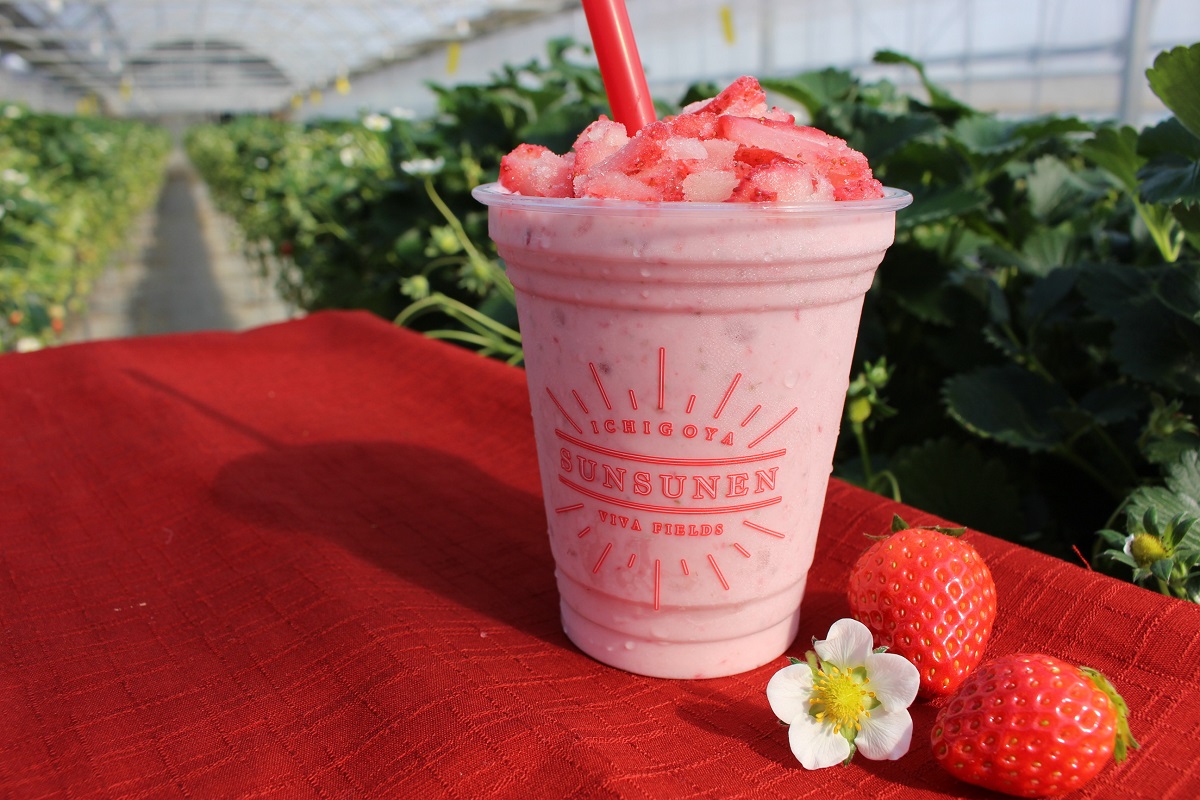 いちごろシェイク 721円