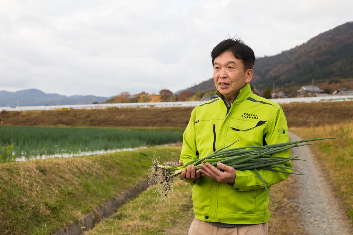 九条ネギ　西陣屋