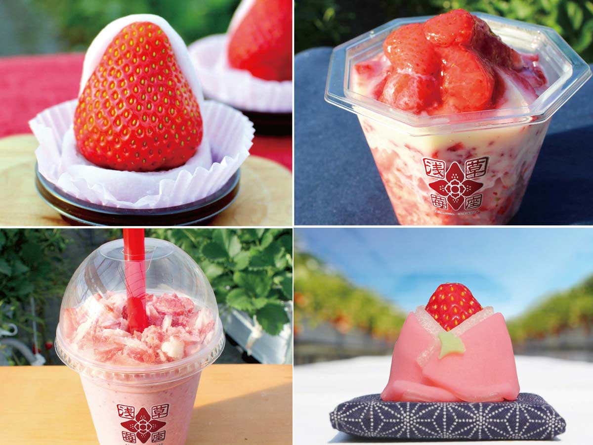 左上から時計回りに「大福いちご」、「苺座ガリ乙女」、いちご農園で鎮座する「真打 収蔵」、「苺スムージー」/浅草 苺座