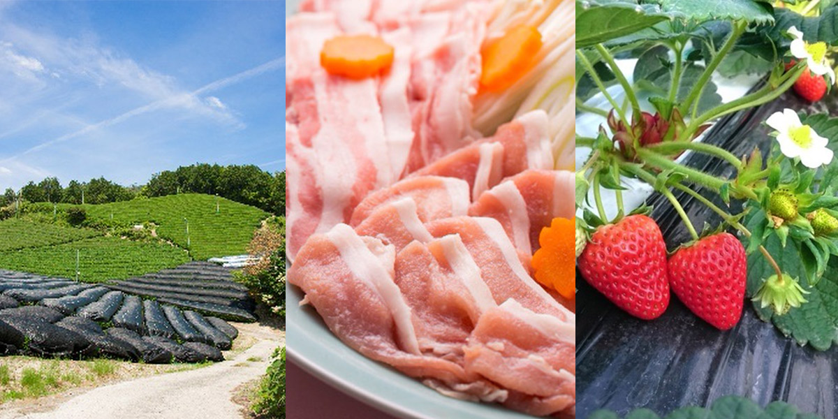 旬の食材を、生産者直送！ 旅のプロが厳選するネット通販サイト『るるぶの産直』第2弾は、京都から宇治抹茶、いちご、豚、九条ねぎなど！