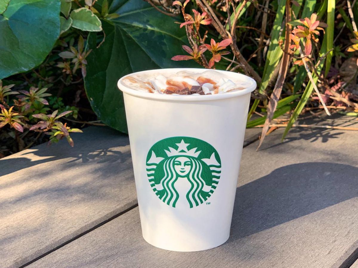 『メルティ 生チョコレート モカ』Short 450円 / Tall 490円 / Grande 530円 / Ventii® 570円　※生チョコレートは、トッピングのソースに使用しています。