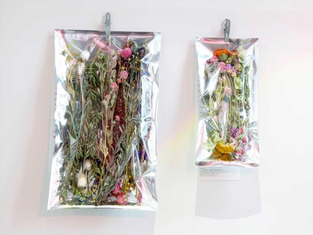 （左から）10本セレクト5400円、5本セレクト3240円