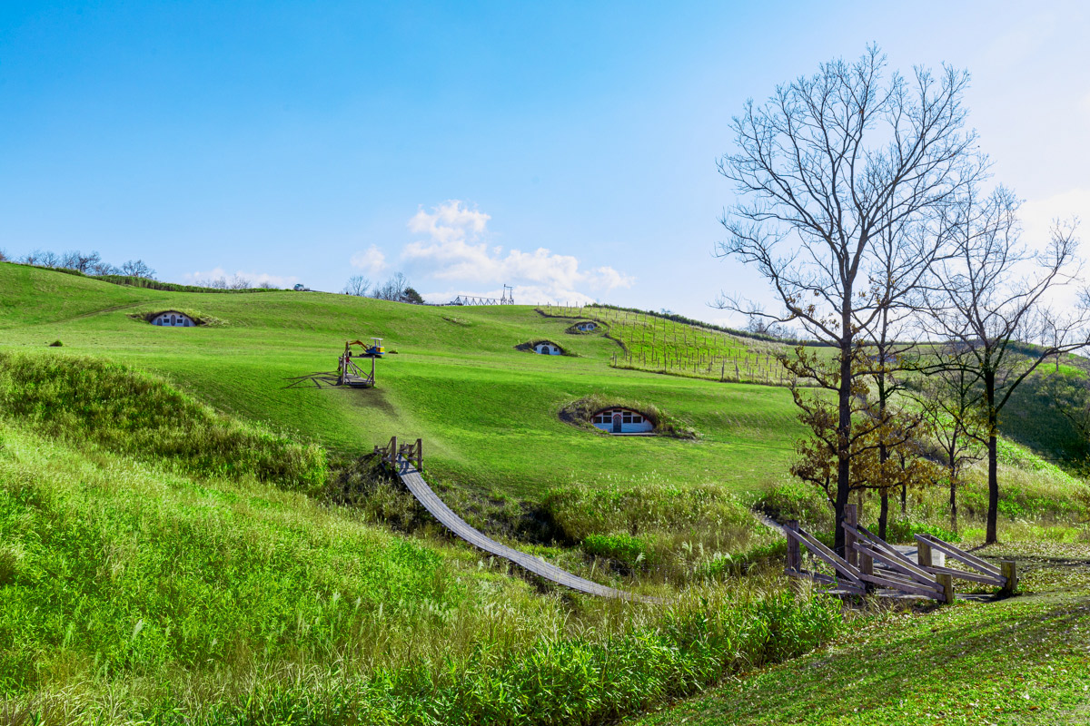 丘の中腹には、宿泊もできる横穴式のおうち。泊まれば自然と一体に