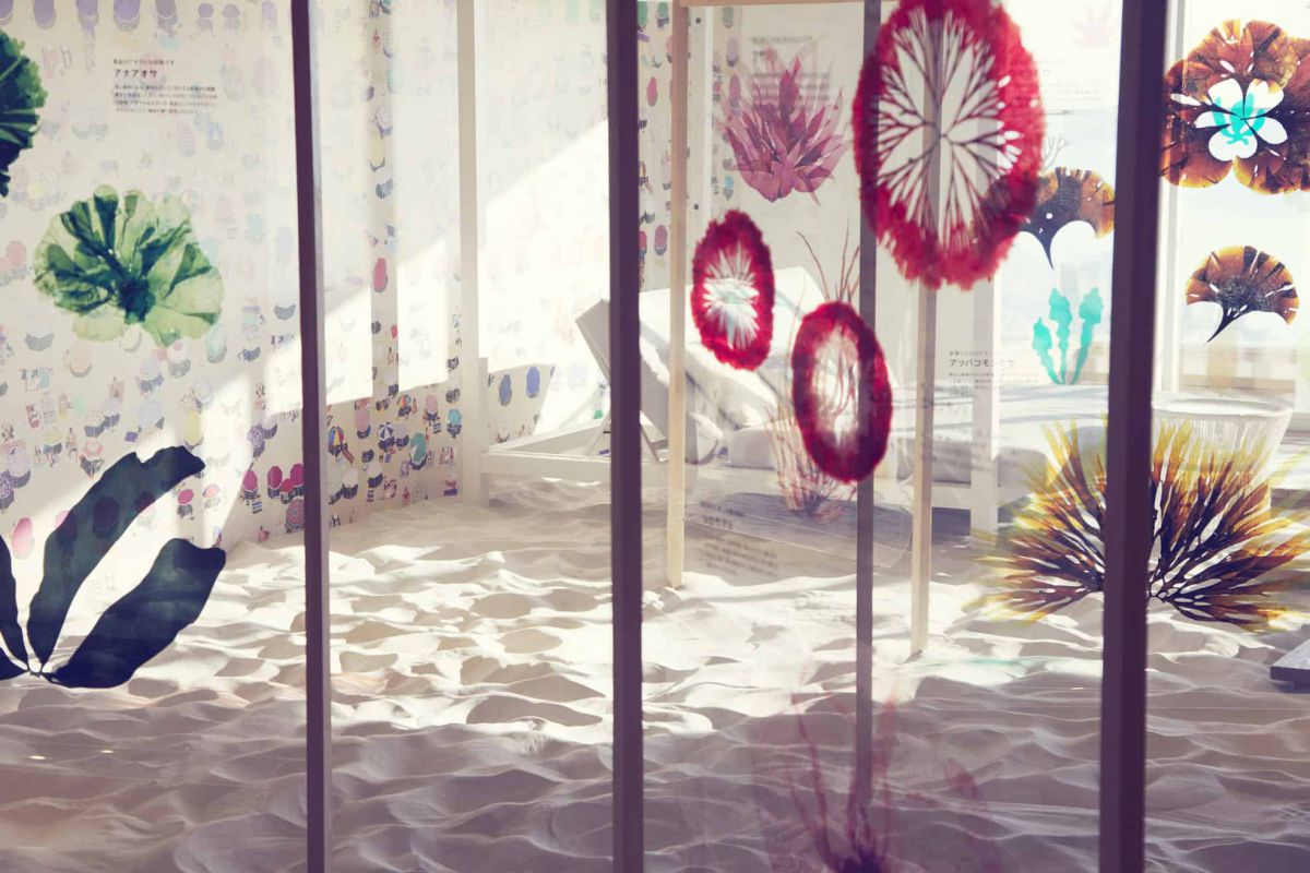 「海の花咲くアート」
