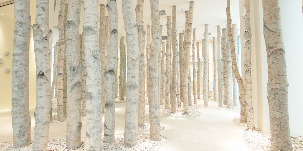 銀座に白樺の森？グルメからスポーツまで楽しめる北欧風カフェ「KOIVE CAFE」